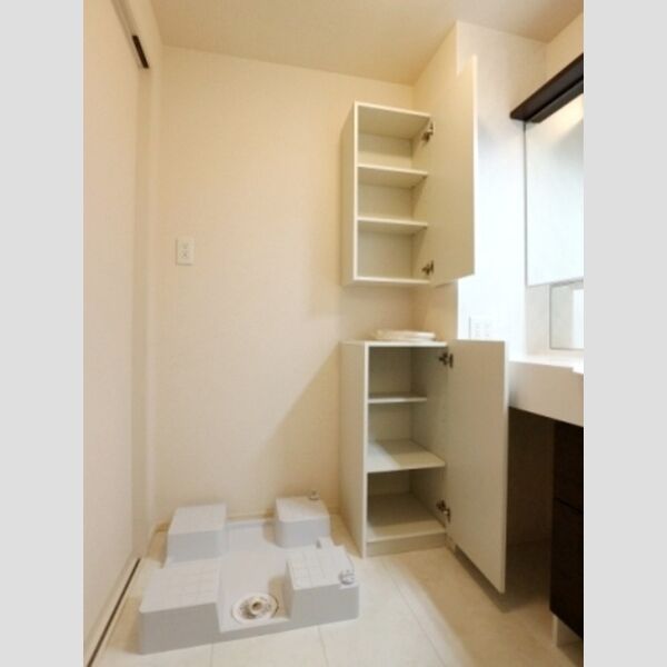 レーヴマニフィック南柏203号室 室内洗濯機置場