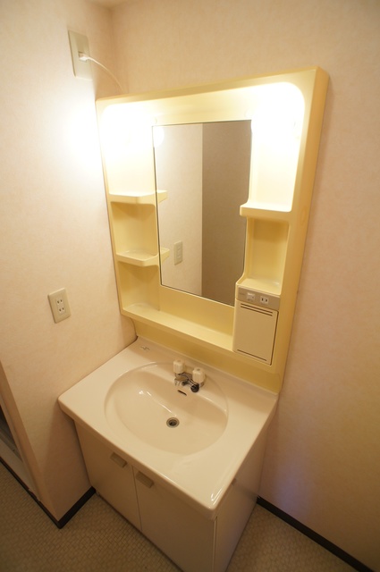 グランドゥール八千代 広い洗面スペース