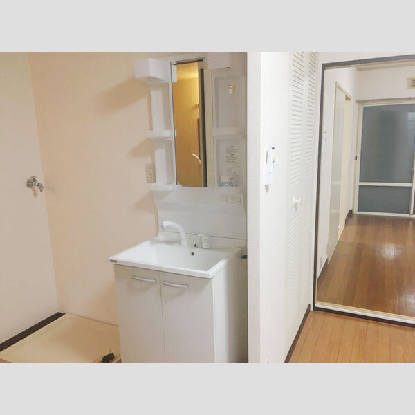 ドミール穴川101号室 洗髪洗面化粧台