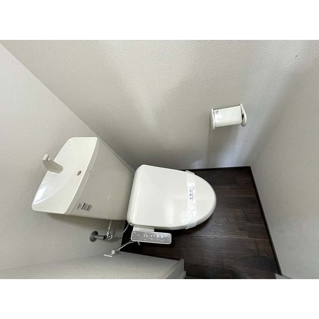 メゾンピアニー201号室 トイレ