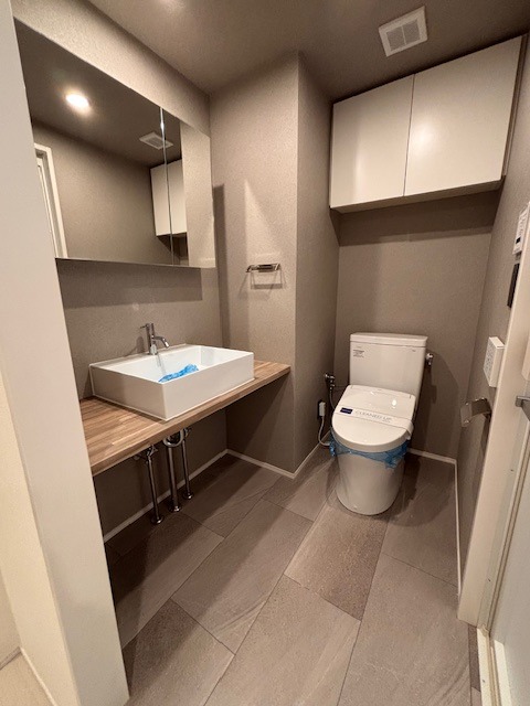 レジディア錦糸町Ⅱ 洗面