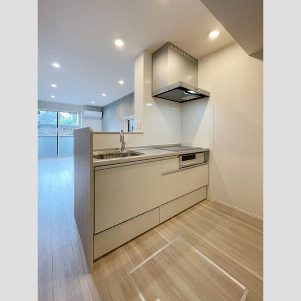 ノーブルパレス南浦和103号室 システムキッチン