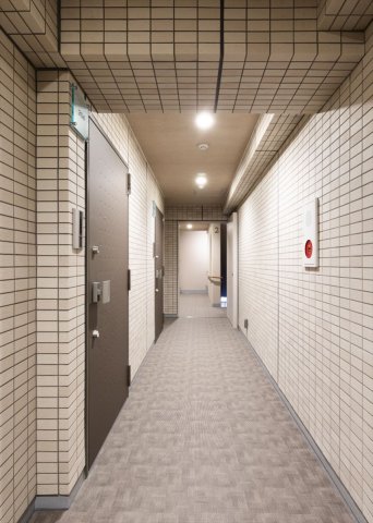 DIPS大山幸町105号室 同建物別部屋の参考画像