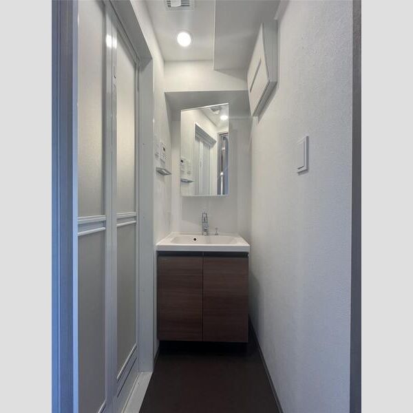 Alivis五反野306号室 洗面