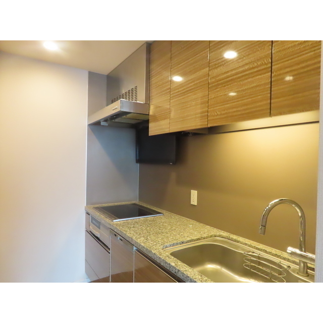 ザ・パークハウス西新宿タワー６０54階 キッチン