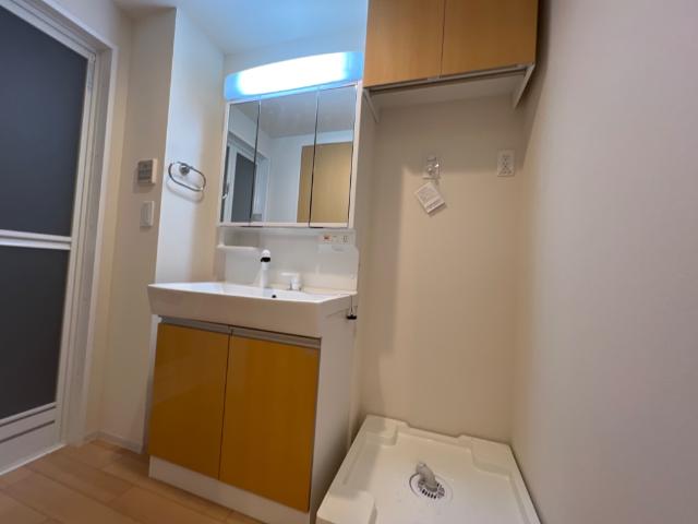 Eternal J（エターナル　ジェイ）205号室 洗面