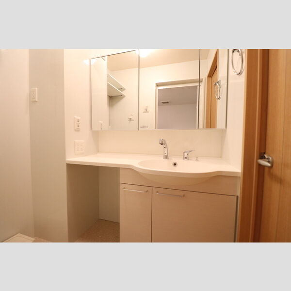 Tip Top Masuko302号室 洗髪洗面化粧台