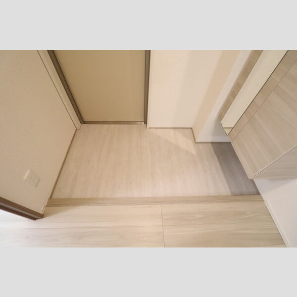 モンステラ 玄関