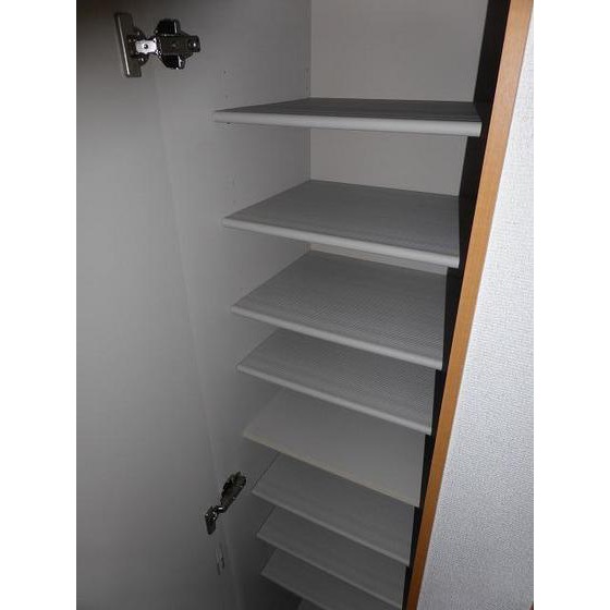 アヴィニティー調布南0404号室 靴箱