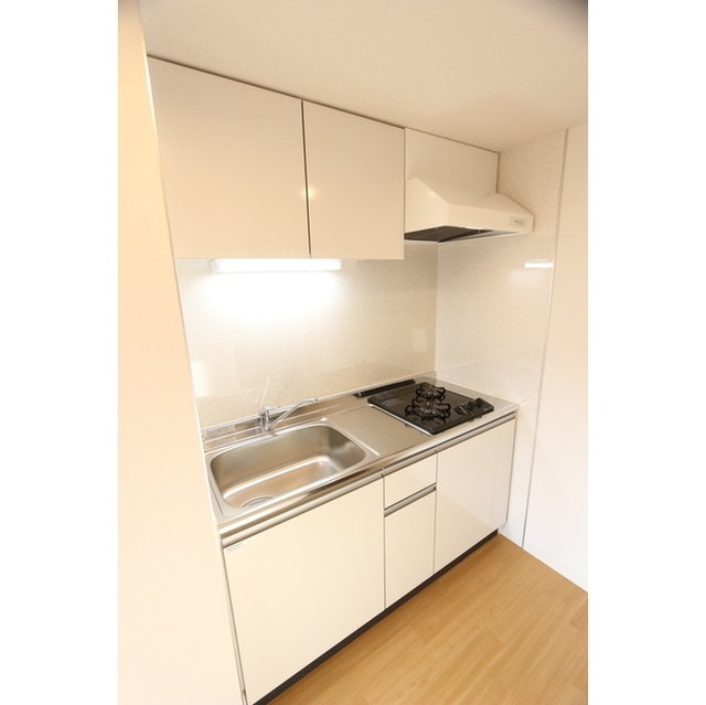 シュヴァン　ネージュ システムキッチン