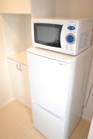 レオネクストテルビューレン204号室 部屋その他