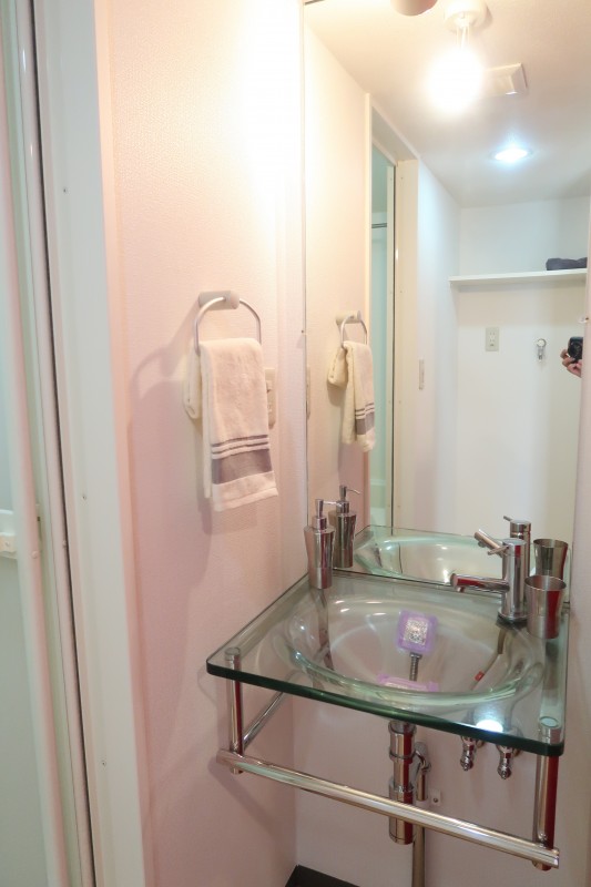 Ｂｒａｎｃｈｅ笹塚3階 洗面