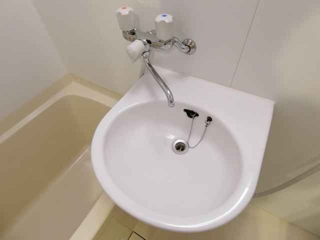 シンフォニー成城0301号室 洗面