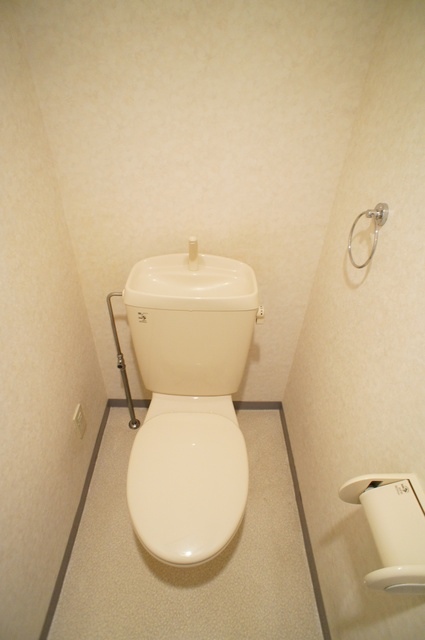 メゾン・デュ・リラ0303号室 落ち着いた色調のトイレです