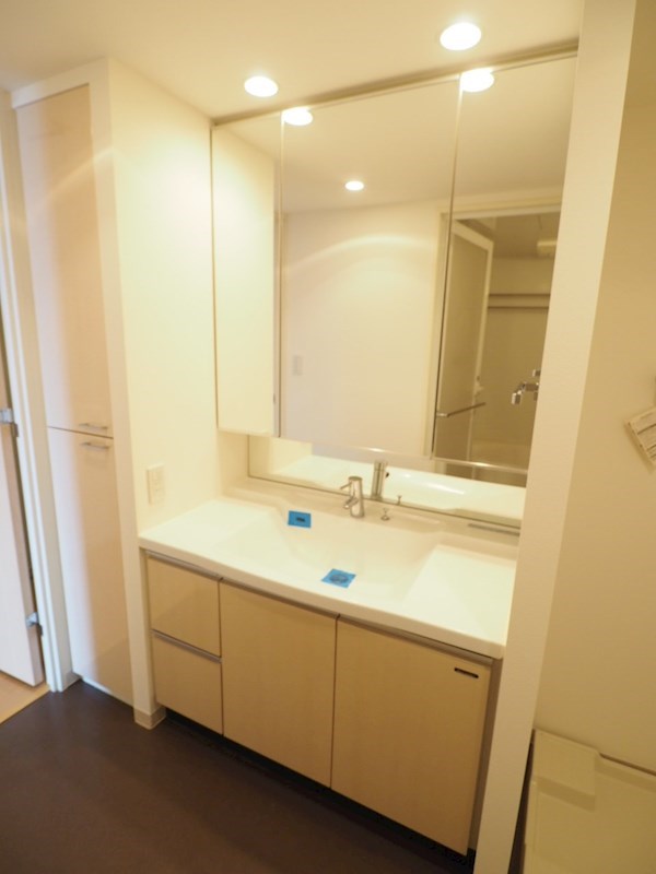 レジディアタワー上池袋（タワー棟）13階 洗面