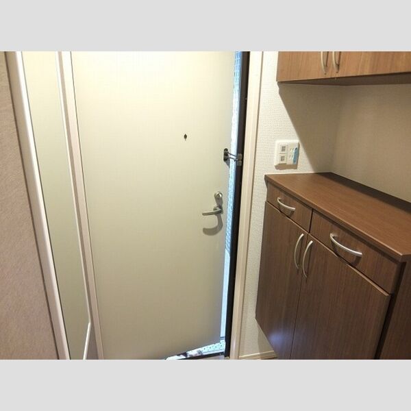 サンフェリーチェ海老名202号室 玄関