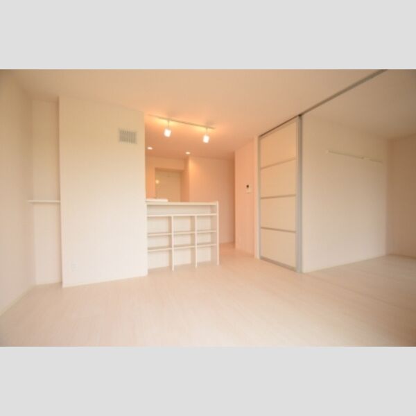 カーネリアン205号室 リビング②