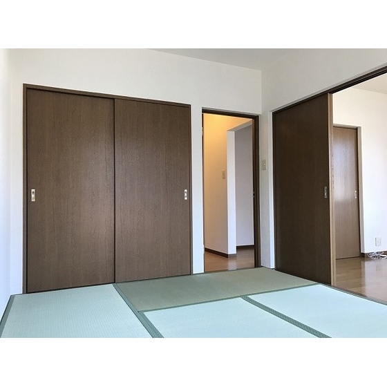 エステートロイヤル７号棟0201号室 和室