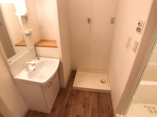 エクセレントヴュー米峰103号室 洗面