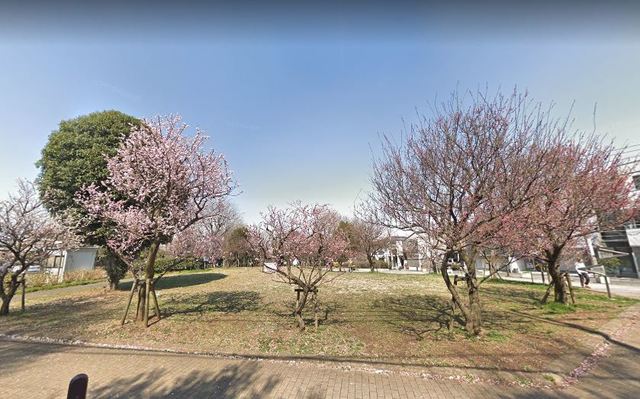 ロアジール下北沢　Ａ棟0104号室 羽根木公園