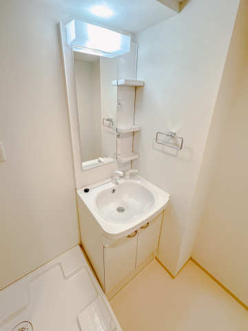 スカイコートリュクス品川大崎301号室 洗面