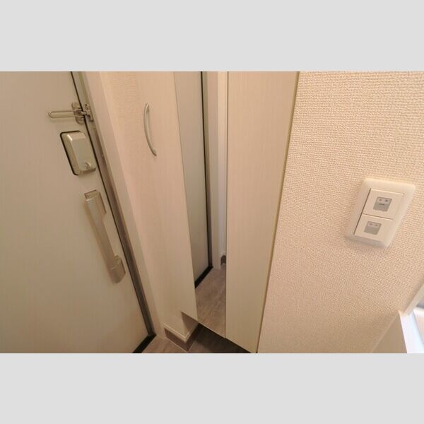 チェリーハイム　Ⅴ シューズボックス(トールタイプ)