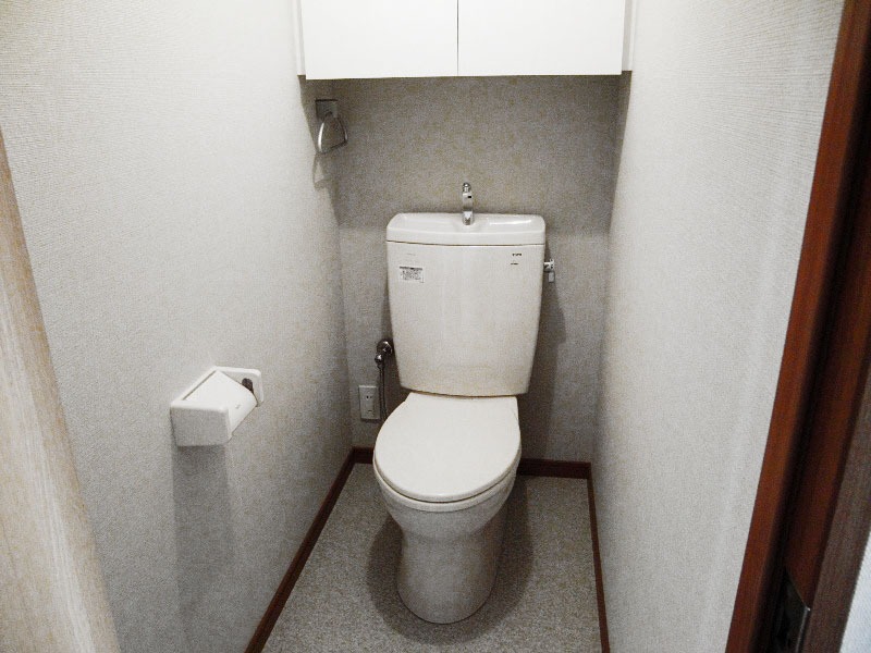 グリーンヒルズ上野毛3階 トイレ