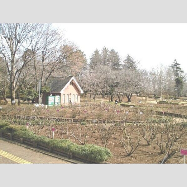 D-room与野公園　A103号室 与野公園(230m)