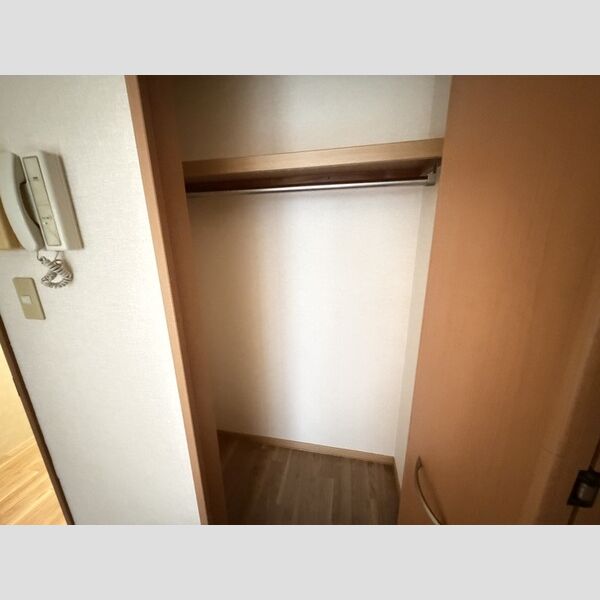 サザンハート東船橋211号室 クローゼット