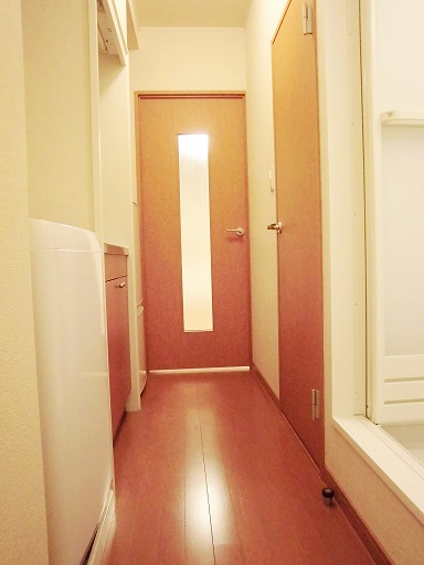 レオパレスフローラ　Ｓ111号室 洗濯機