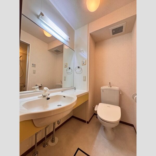 プランドール　ABA101号室 パウダールーム