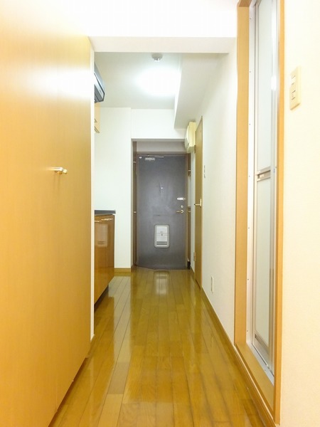 ルーブル豊玉Ⅱ201号室 その他