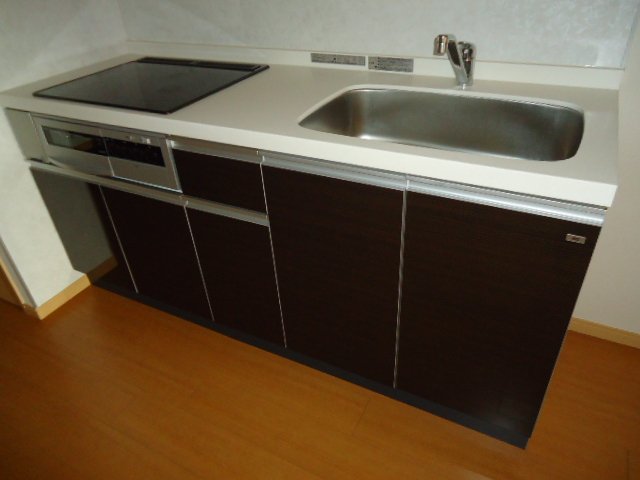 Ｅｓｐｅｒａｎｚａ　-エスペランサ-305号室 キッチン下収納