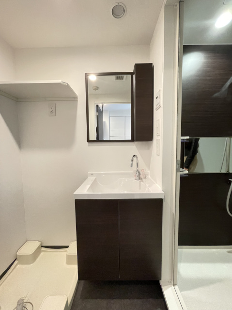 スカイコートグレース世田谷弦巻301号室 洗面