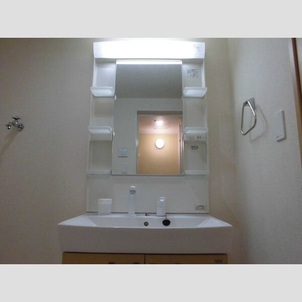 リヨン 洗髪洗面化粧台