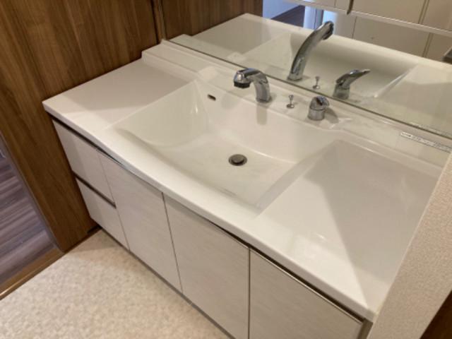 レーベンハイム戸田ソラリエ 洗面