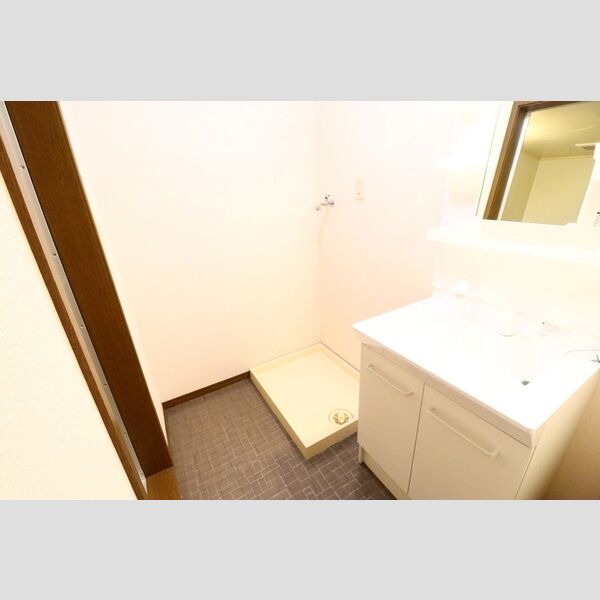 ハイネス大嶋102号室 洗面所