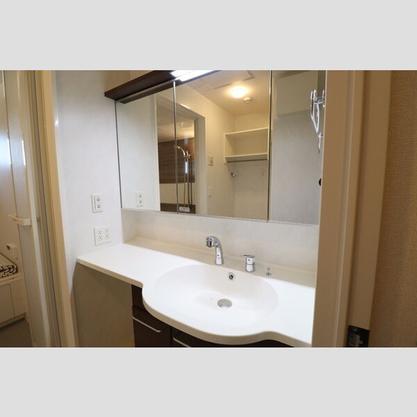 Droom SAKURA.K305号室 洗髪洗面化粧台