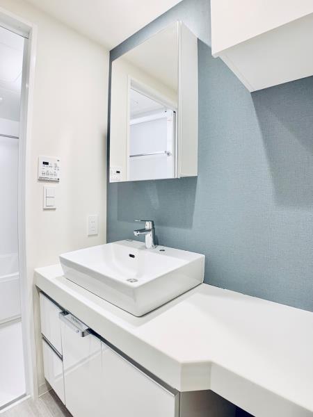 Ｂｒｉｌｌｉａ　ｉｓｔ　千駄ヶ谷5階 洗面