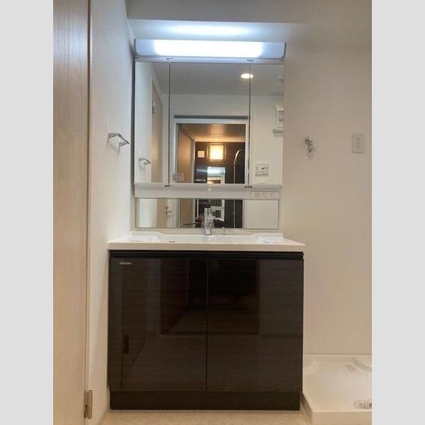 Alivis一之江1001号室 洗面