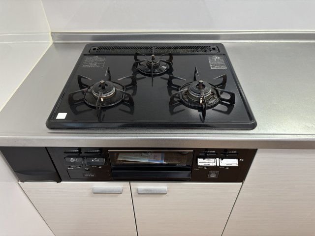 テルージュ菊名Ⅱ キッチン