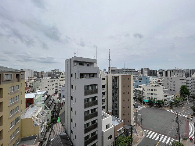 スカイコート入谷901号室 部屋その他