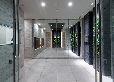 DIPS金町レジデンス908号室 エントランス