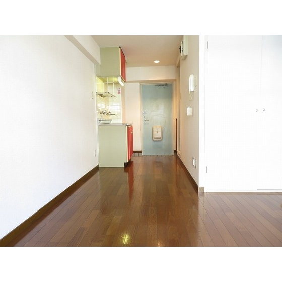 エレガンス綾瀬６0304号室 内観