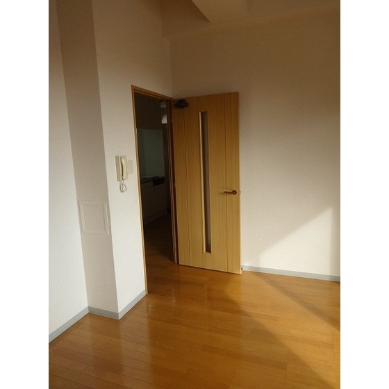 プリマヴェーラ問屋町0505号室 内観