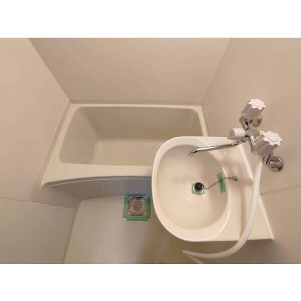 パークハウスイマイS0310号室 洗面