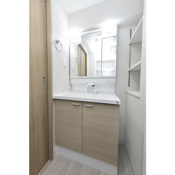 クリオ　ラモード学芸大学Ⅱ0202号室 洗面