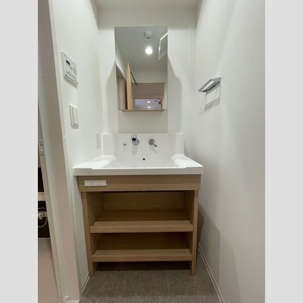 ロイジェント西新井0509号室 洗面