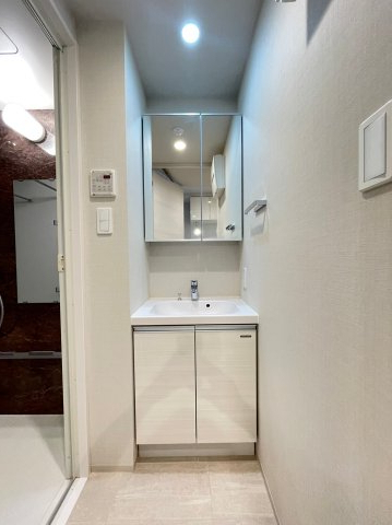 DIPS上板橋505号室 洗面