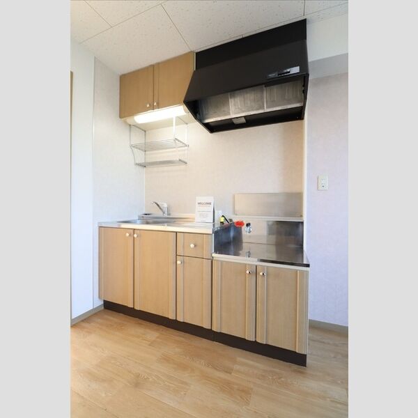 毛呂山ヒルズ203号室 ★2口ガスコンロ設置可能★